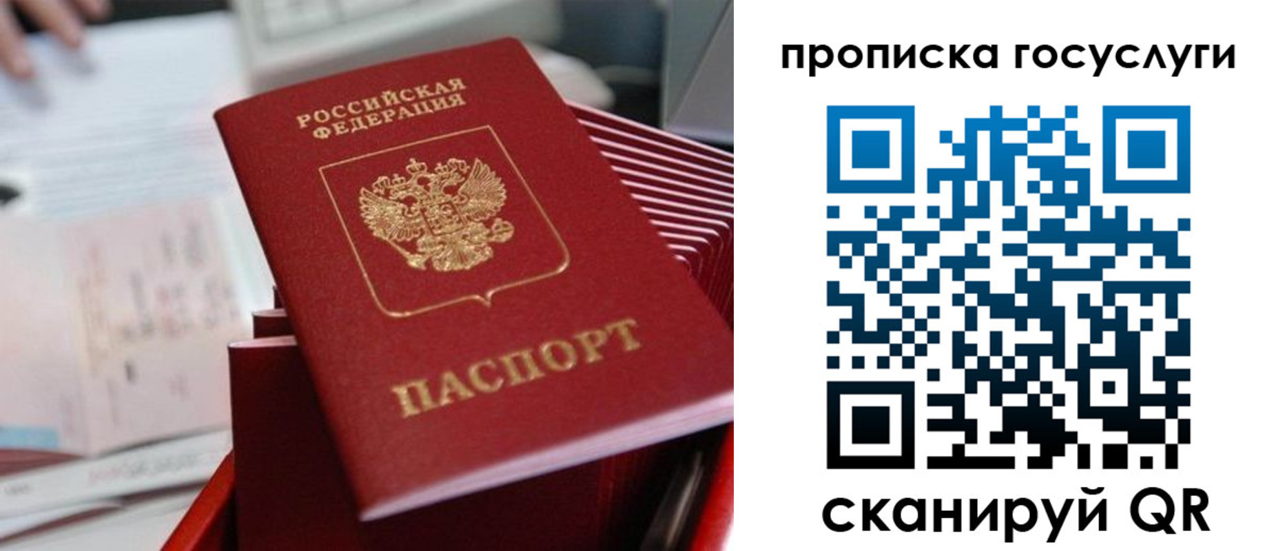 прописка законно в Коркино